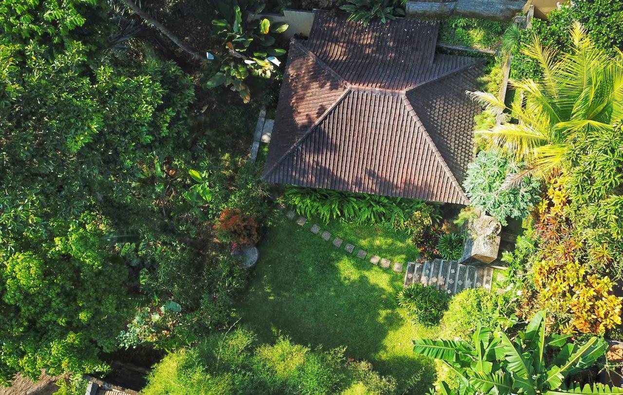 Secluded Jungle Ubud